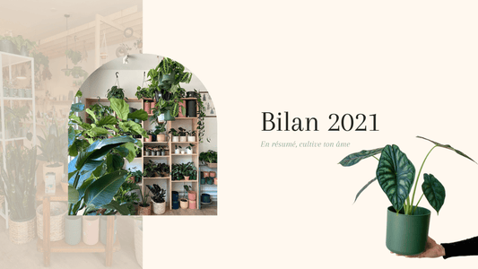 Bilan 2021 - Alma Plantes