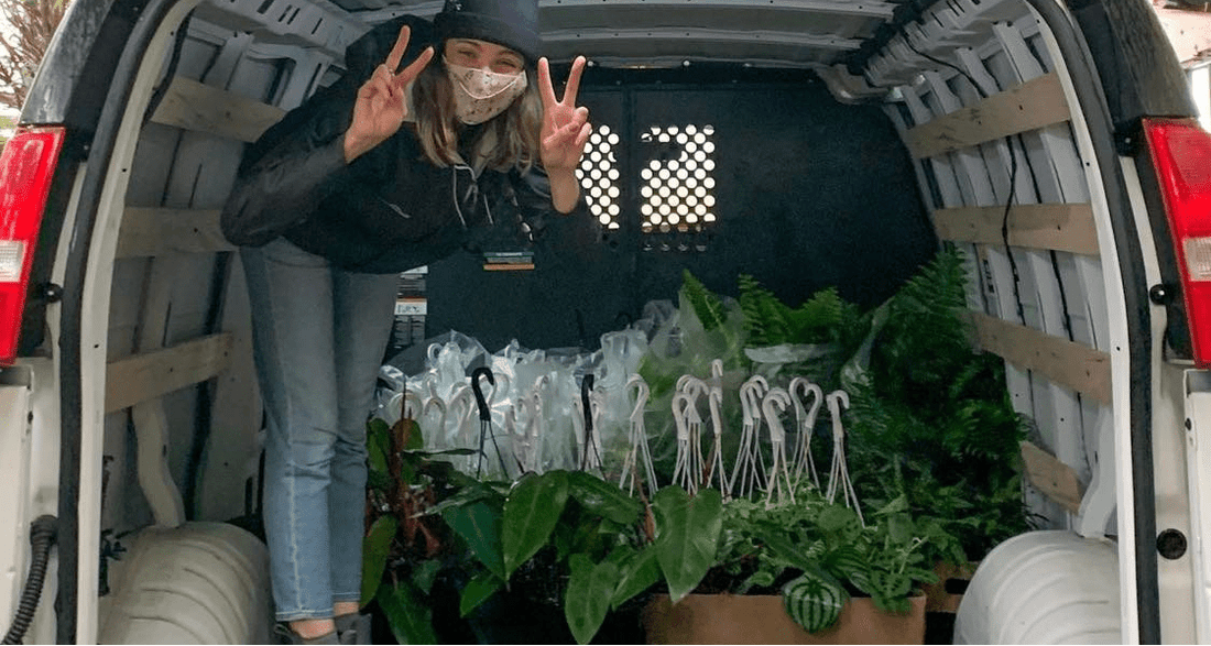 Déménagement : comment s'y prendre avec nos plantes? - Alma Plantes