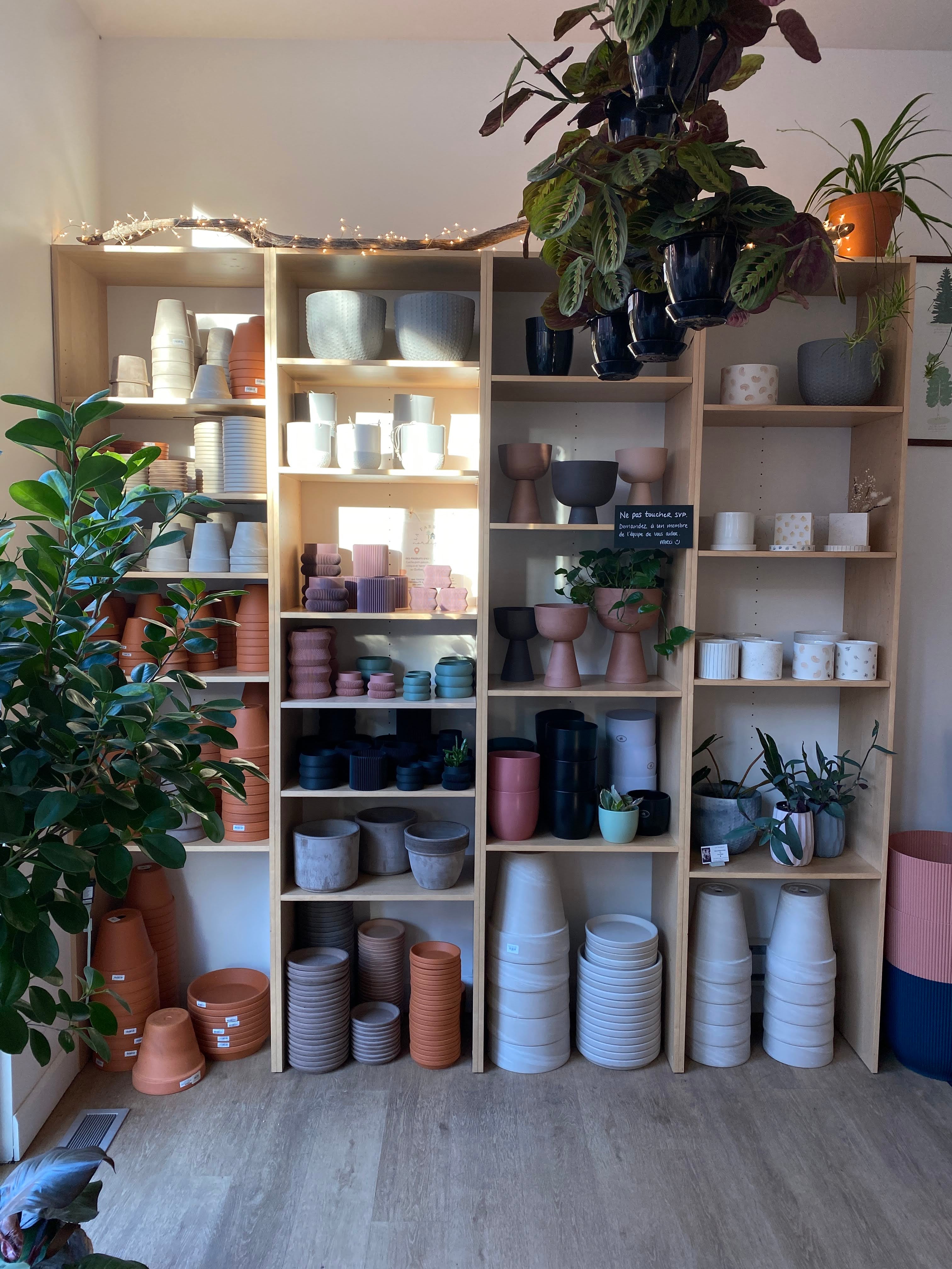 Pots et déco - Alma Plantes