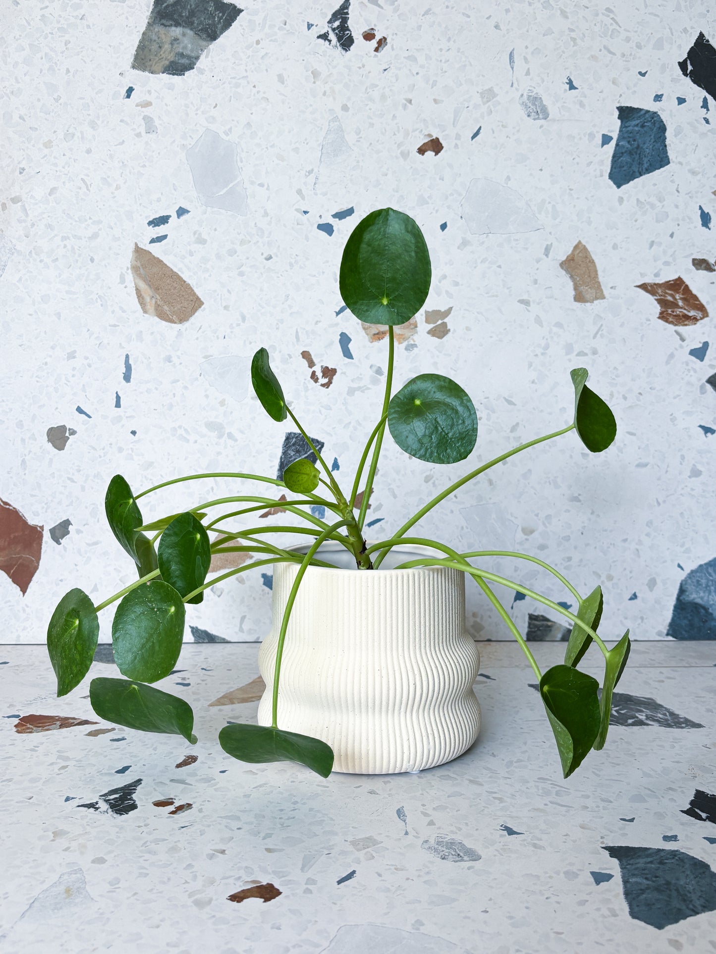 Cache-pot vague beige