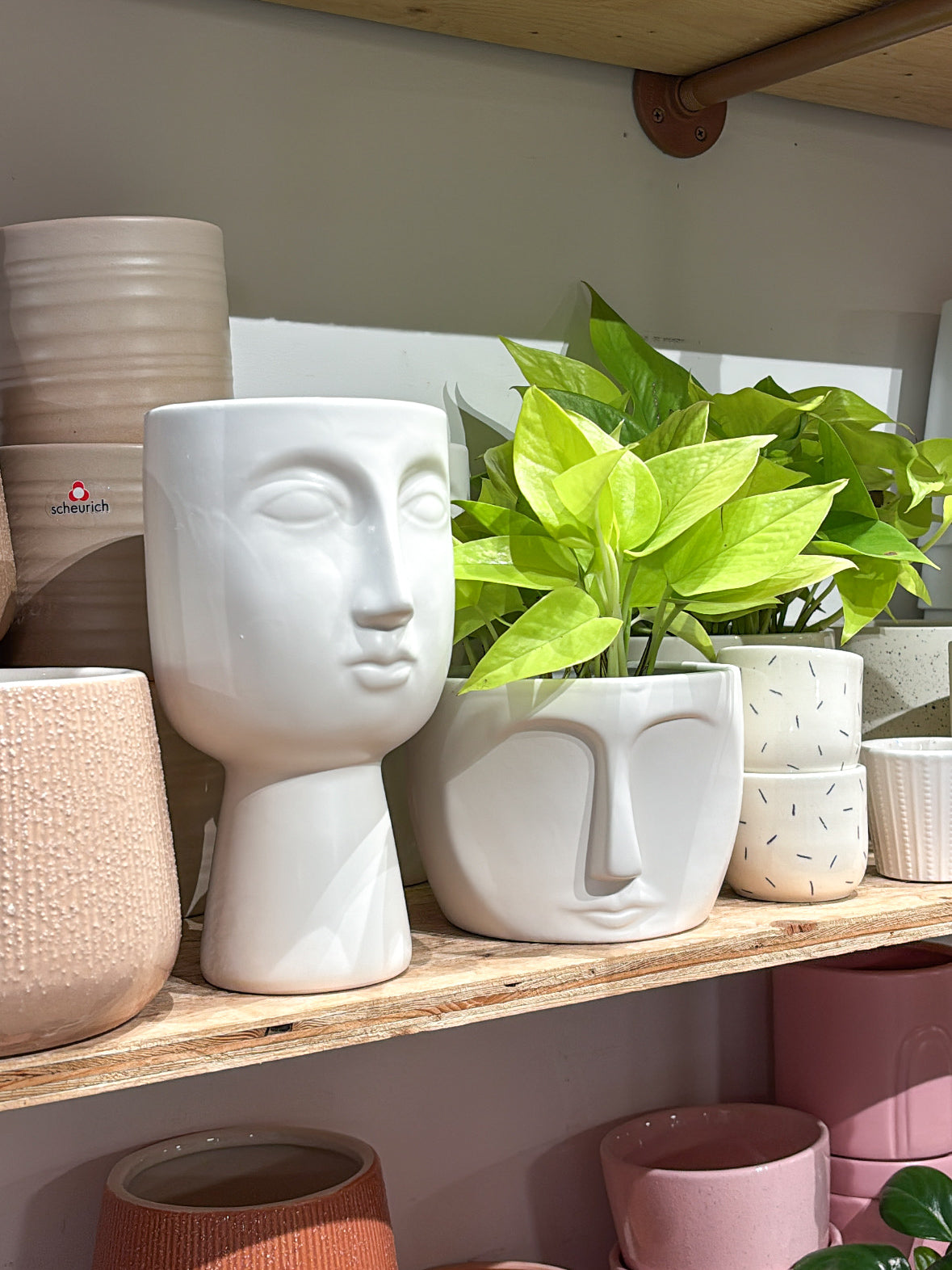 Cache-pot visage court