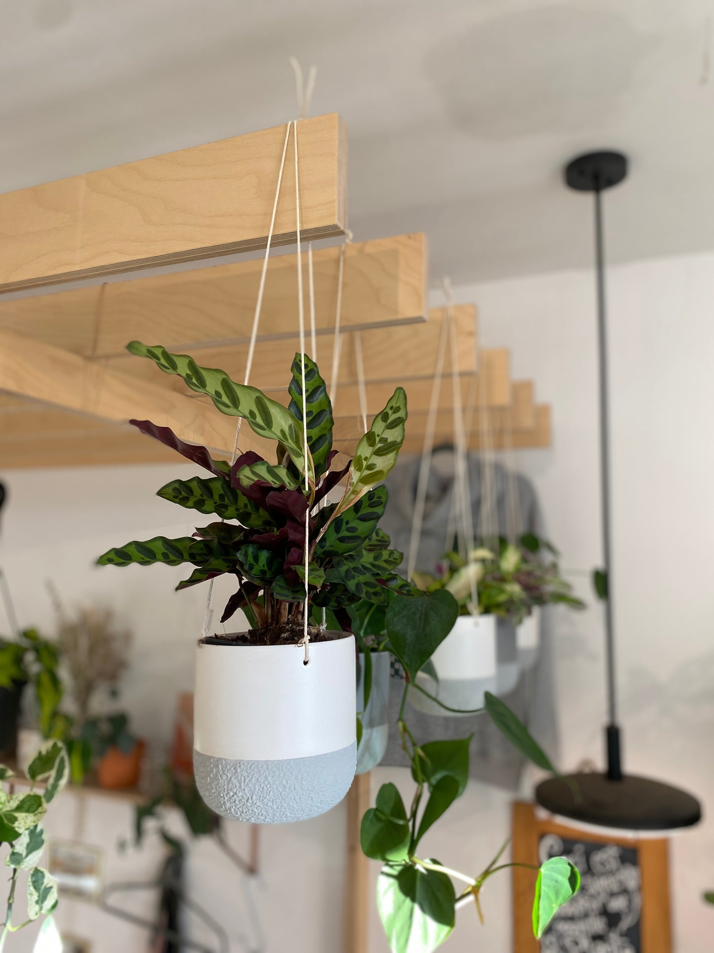 Pot suspendu Firenza