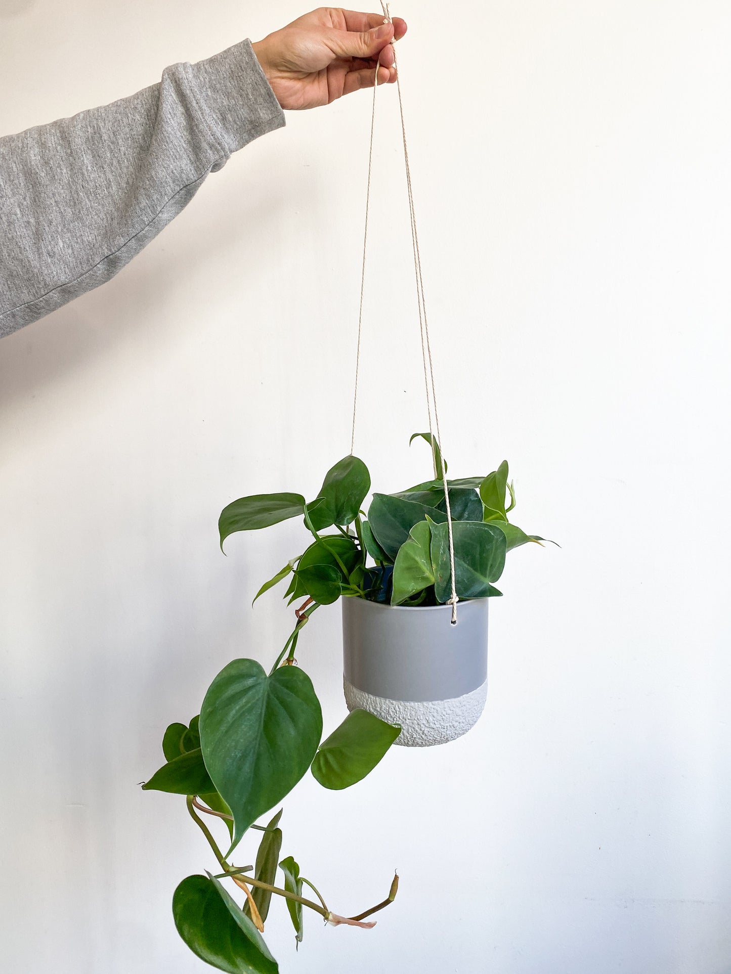 Pot suspendu Firenza