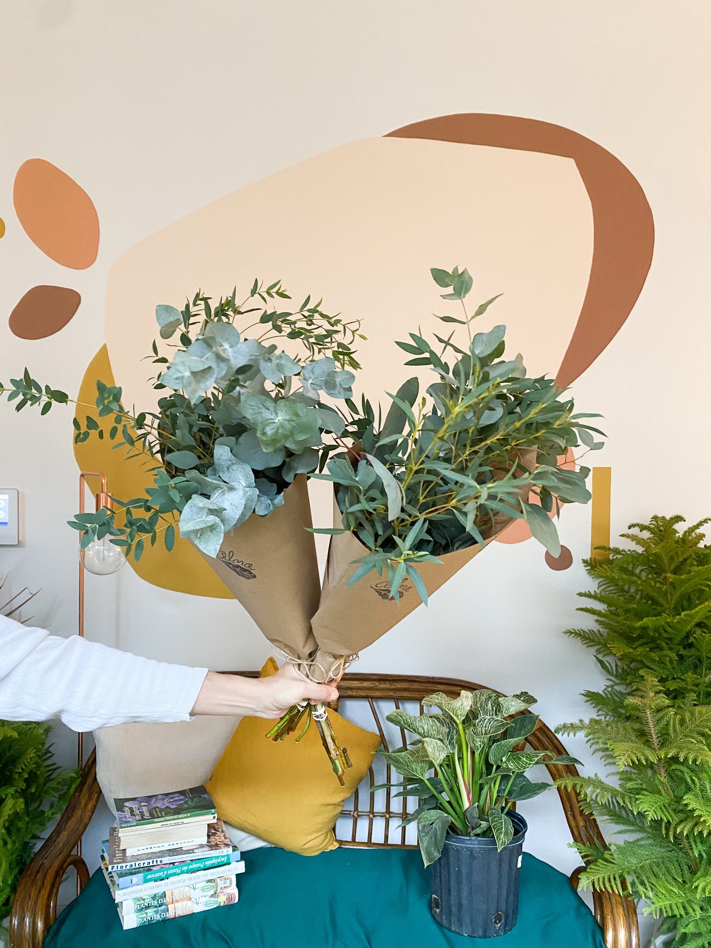 Bouquet d'eucalyptus - mixte