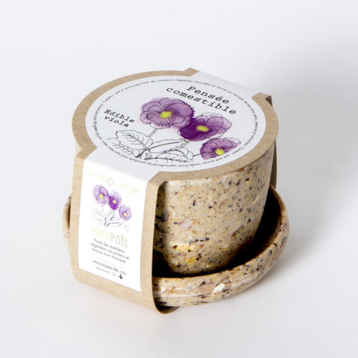 Minipot pensée comestible-fibre recyclée