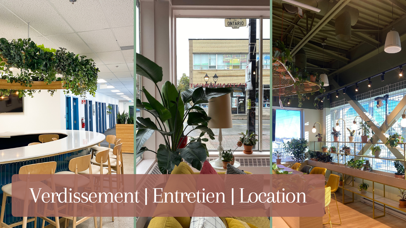 Services aux entreprises