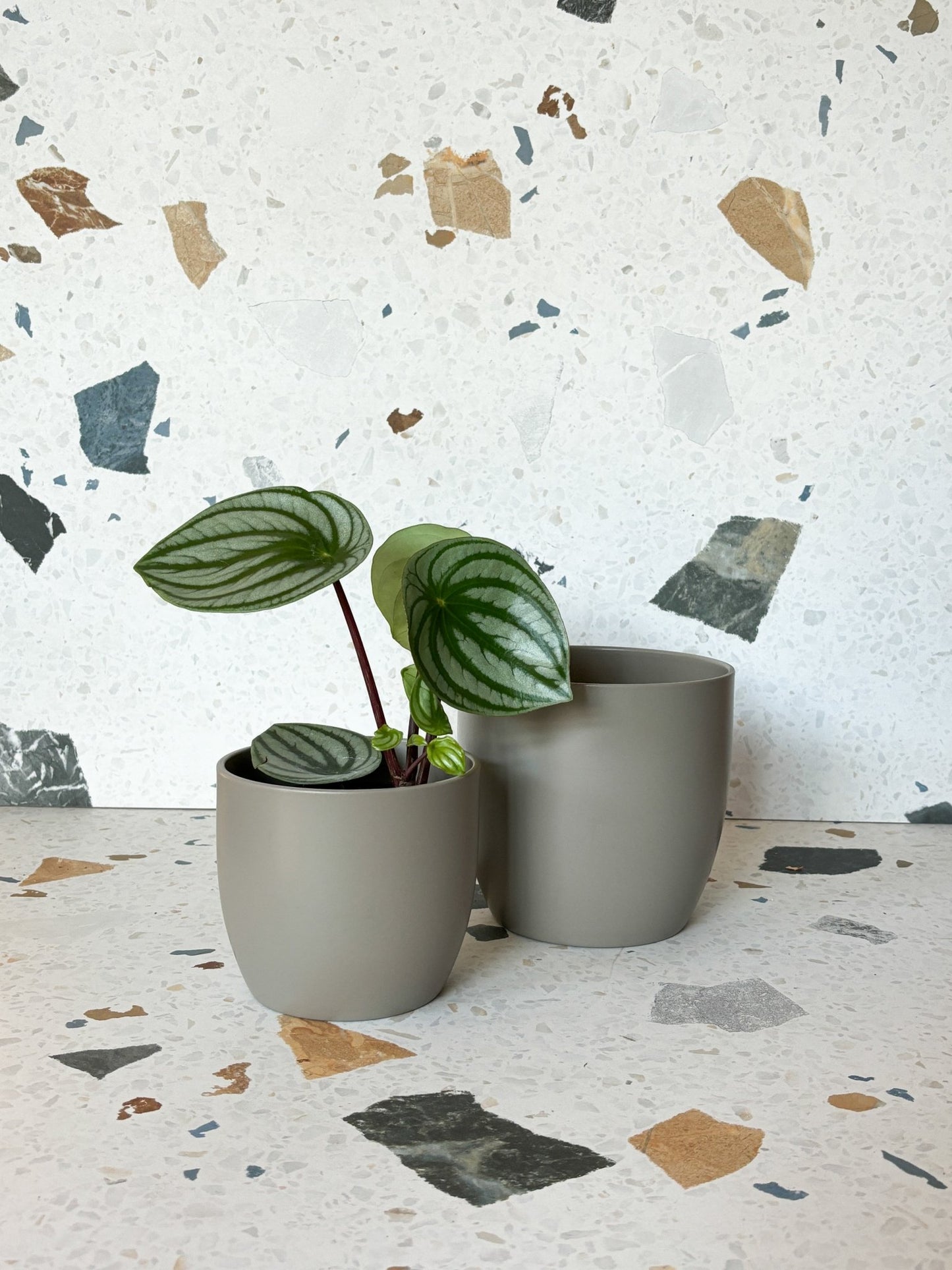 Cache - pot Basel - Gris - Alma Plantes