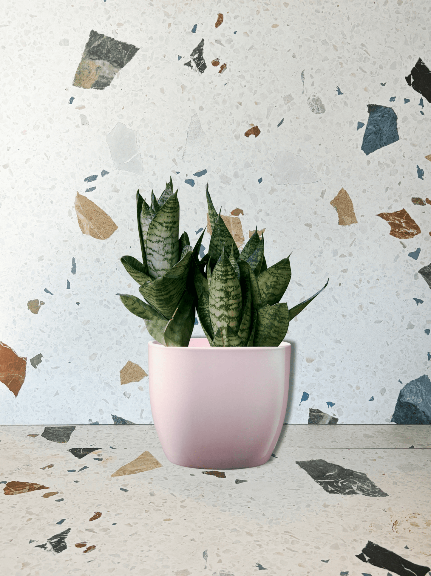 Cache - pot Basel - Rose perle - Alma Plantes