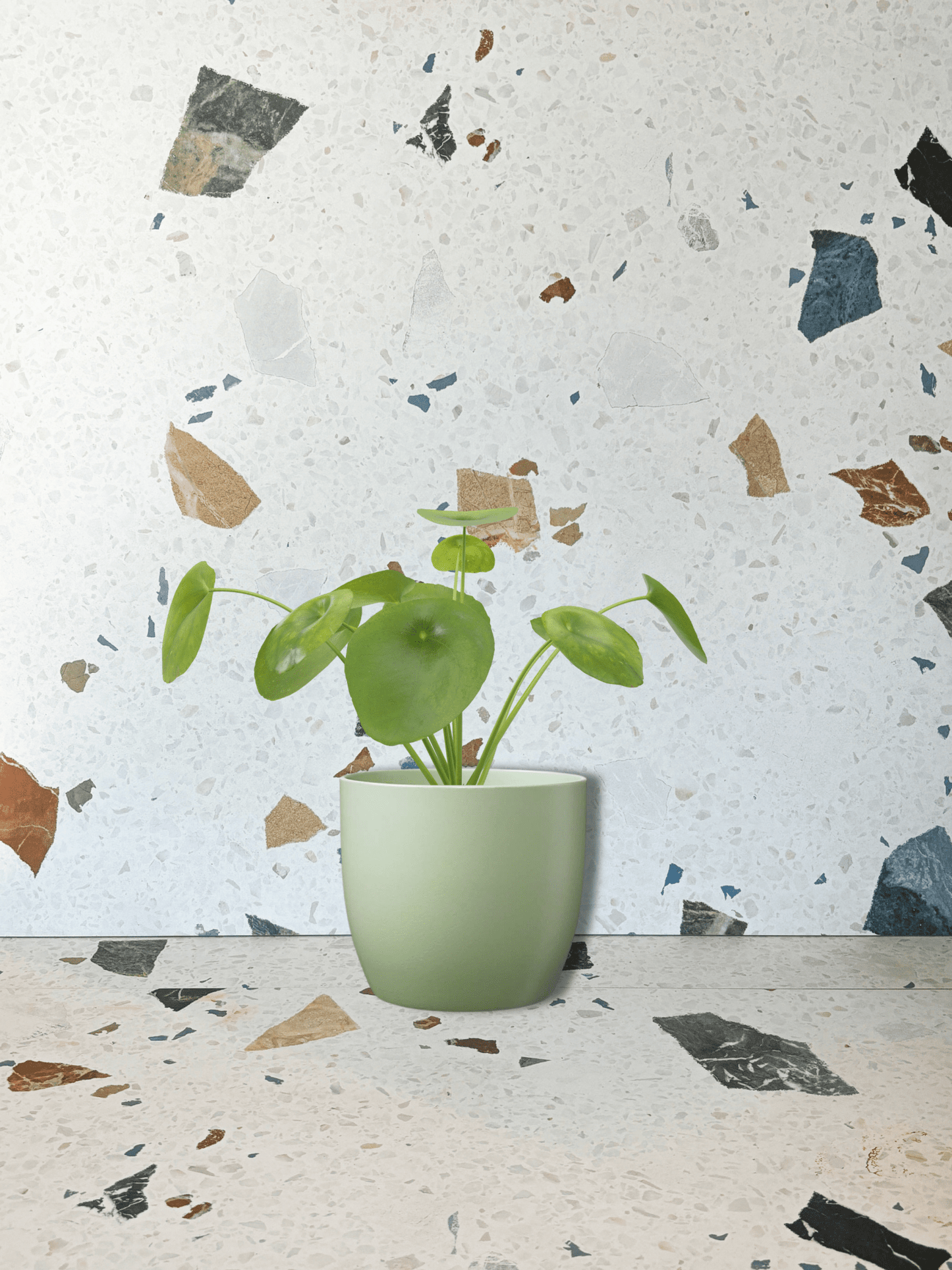 Cache - pot Basel - Vert menthe - Alma Plantes