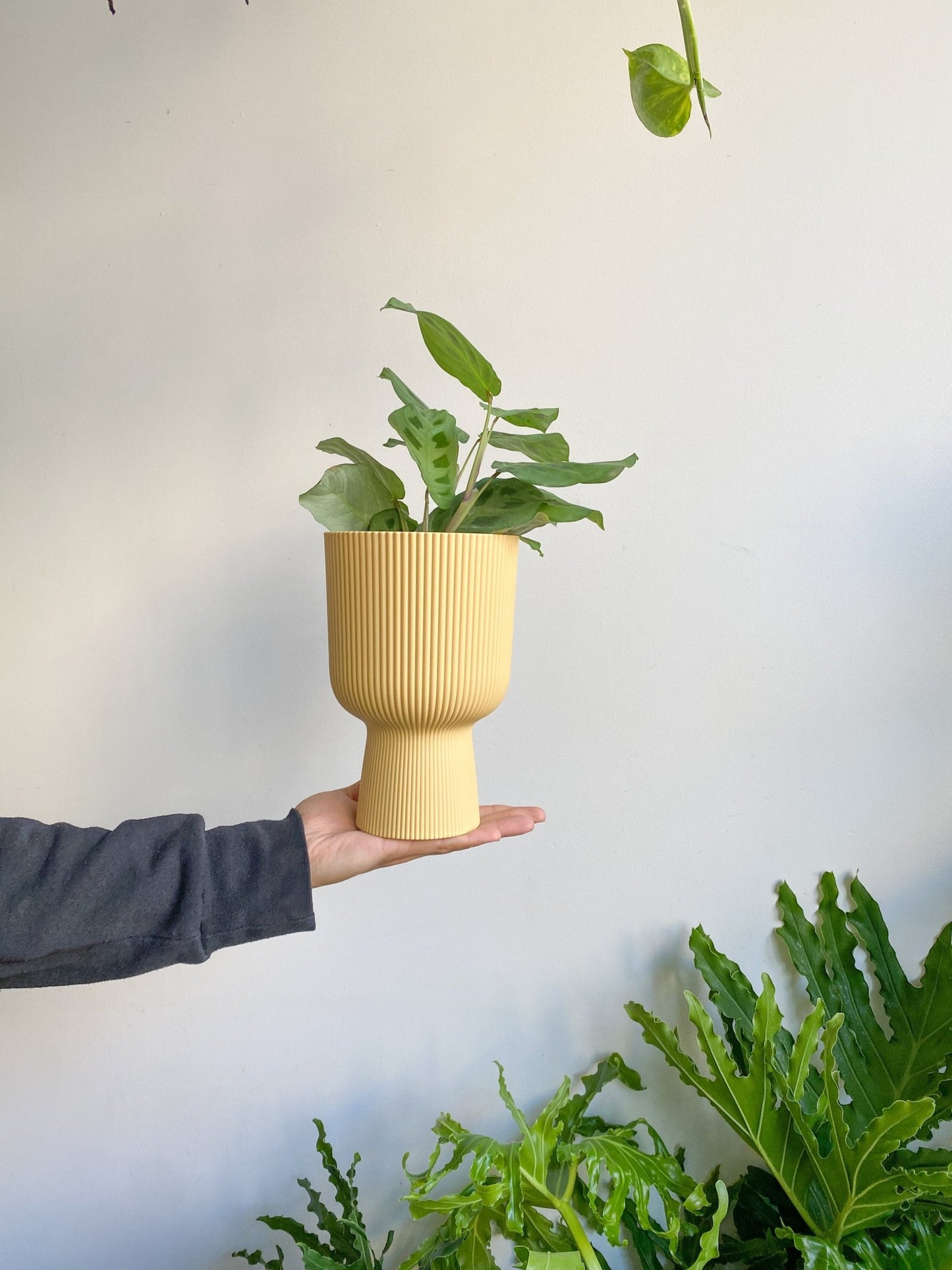 Cache pot coupe texturé - jaune - Alma Plantes