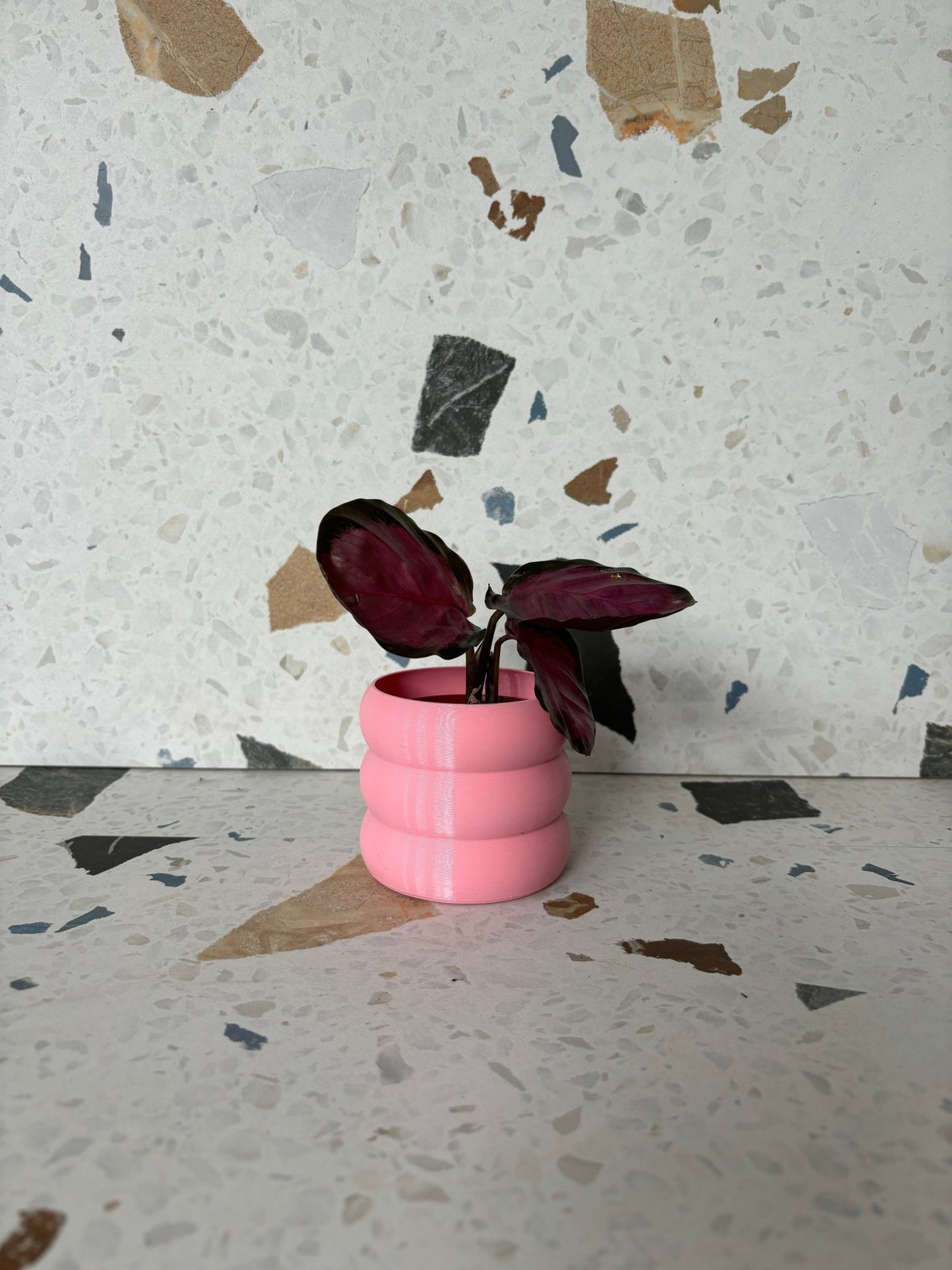 Cache pot 'Le Bubbly' - Alma Plantes