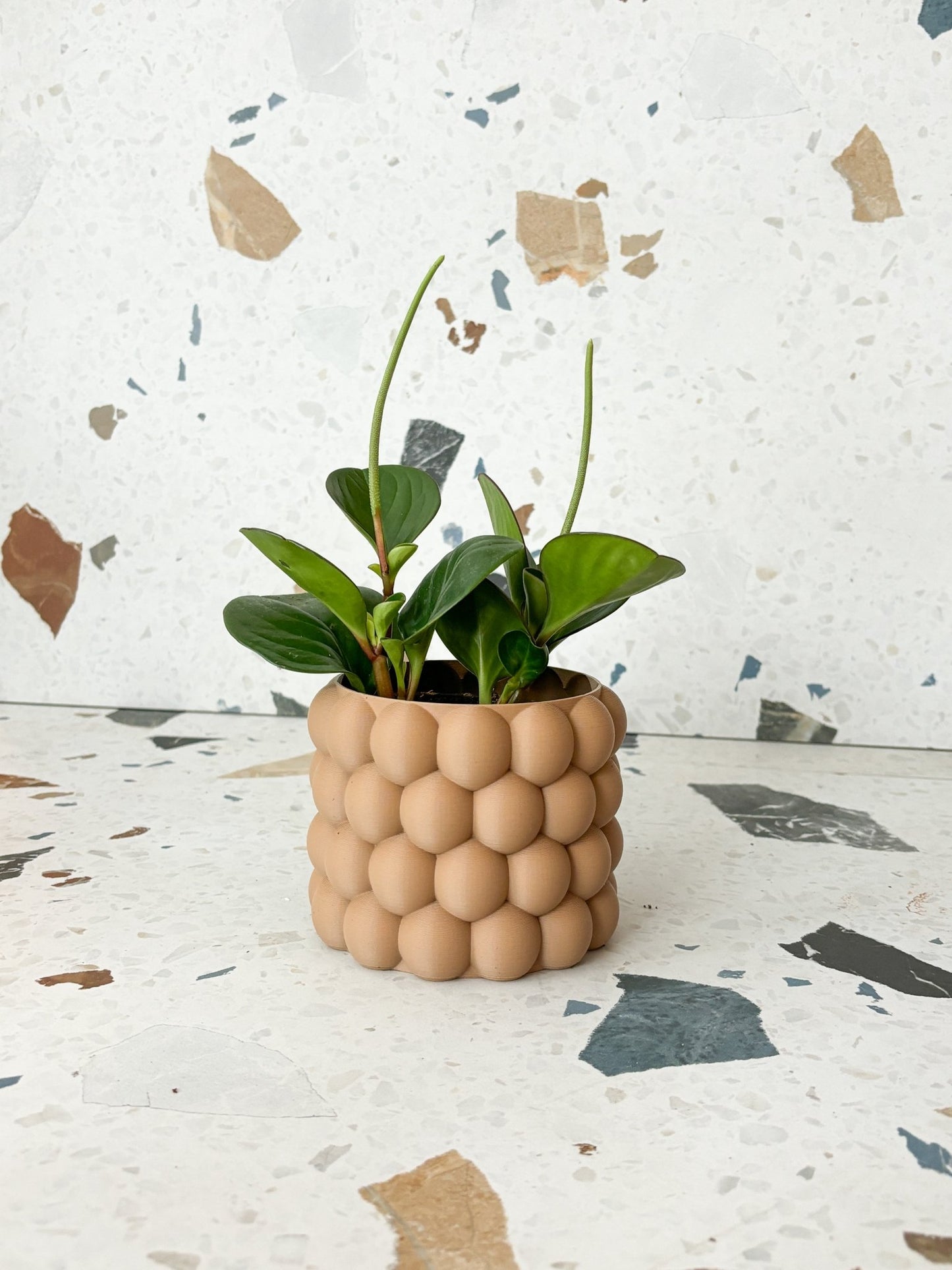 Cache pot "L'Éclaté" - Alma Plantes