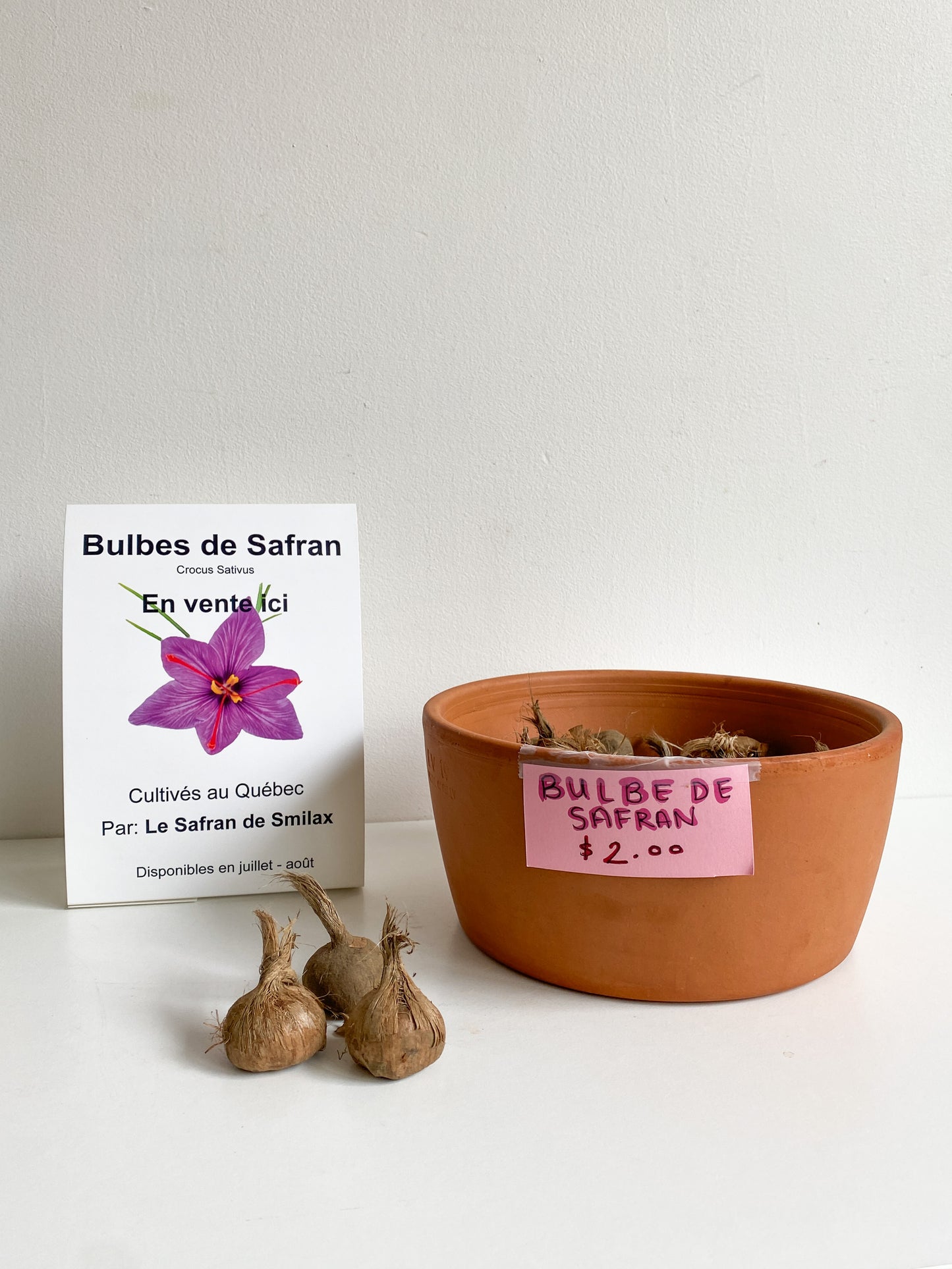 Bulbes de Safran