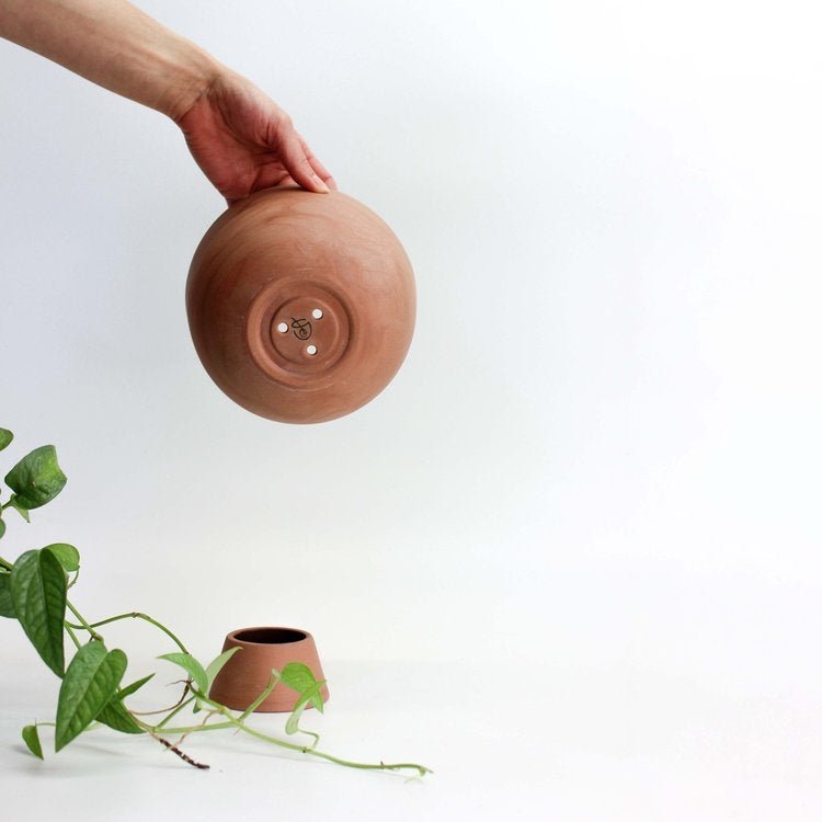 pot Alex - Alma Plantes
