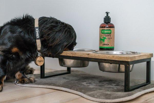 Supplément Nutritif Pour Animal