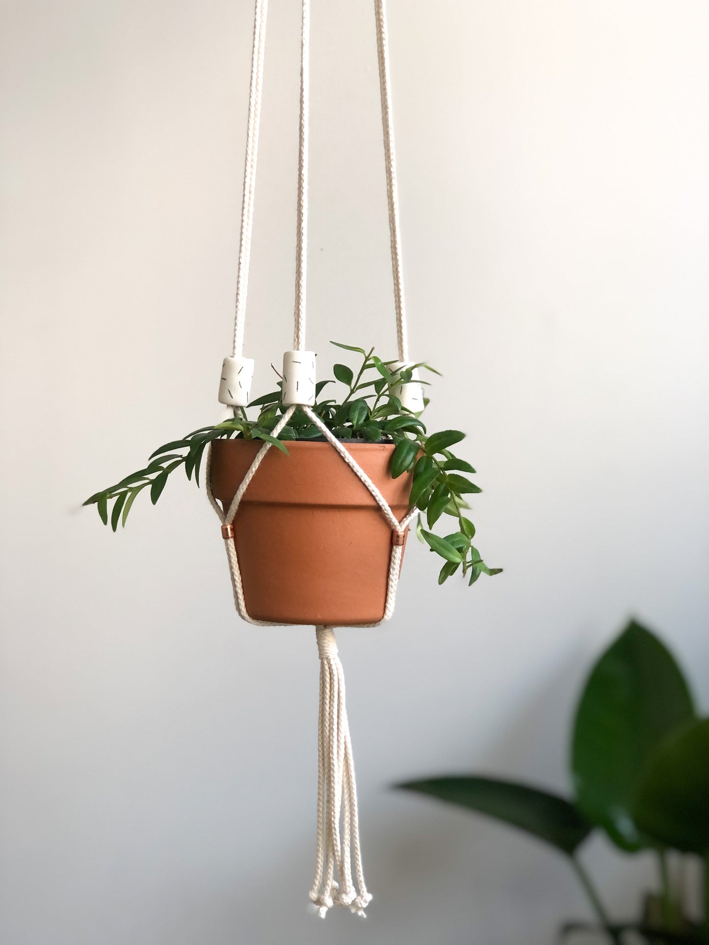 Jardinière ajustable - billes - accessoires