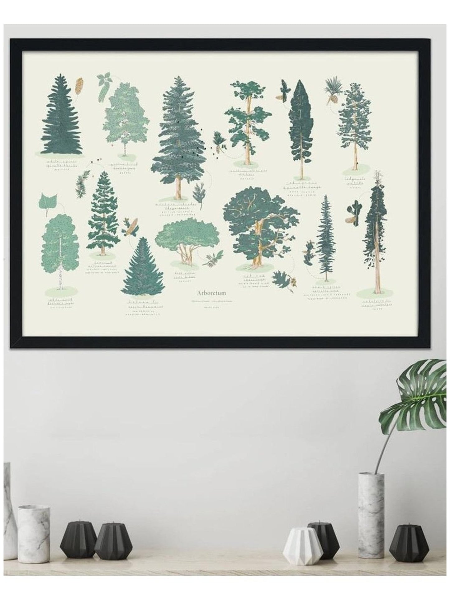 Affiche Arboretum - Alma Plantes