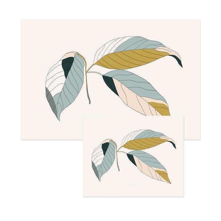 Affiche Foliacé - Alma Plantes