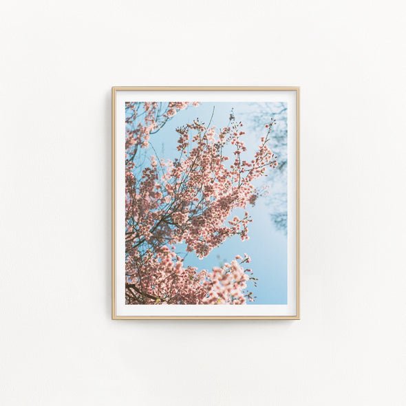 Affiche - Ode à la Douceur no.2 - Alma Plantes