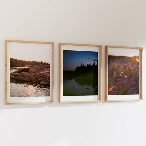 Affiche - Solstice d'été - Alma Plantes