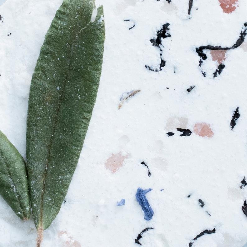 Bombe de bain - Eucalyptus - Alma Plantes