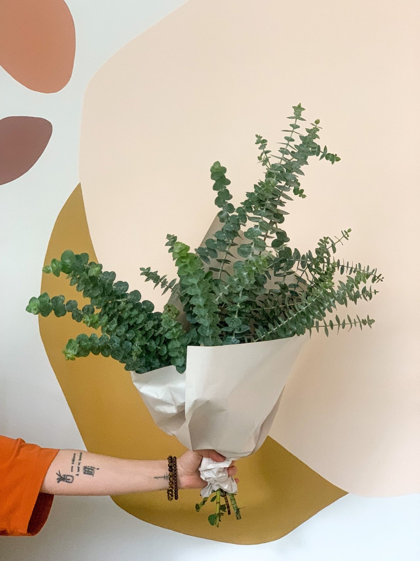 Bouquet d'eucalyptus babyblue - Alma Plantes