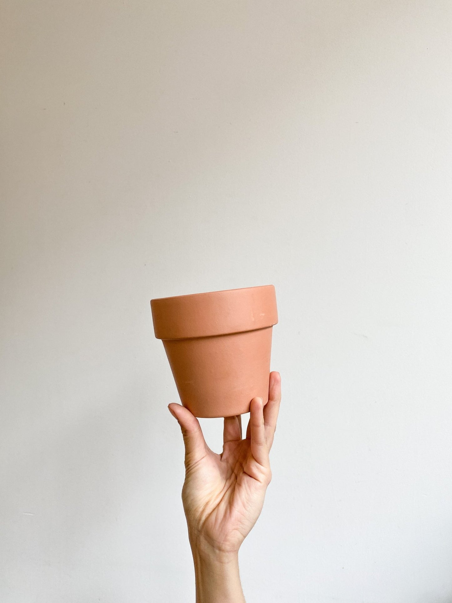 Cache - pot en terre cuite Sienna - fond plat (4 couleurs) - Alma Plantes