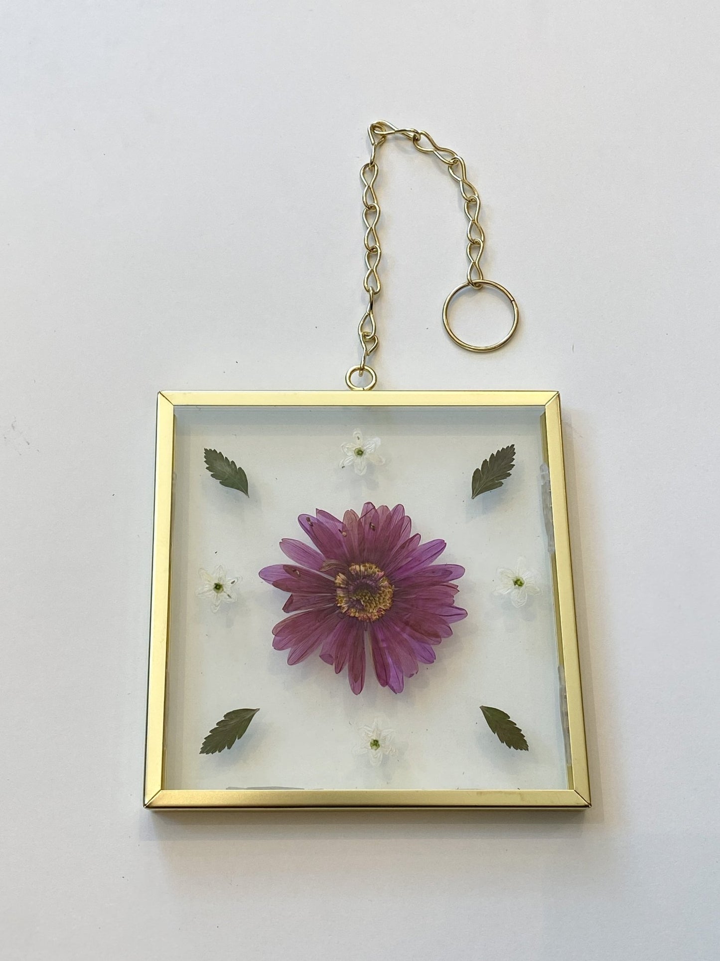 Cadre de fleurs séchées - no. 5 - Alma Plantes