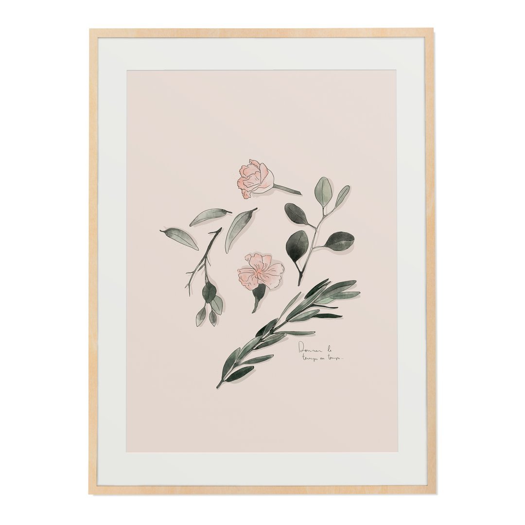 Illustration Composition Végétale - Alma Plantes