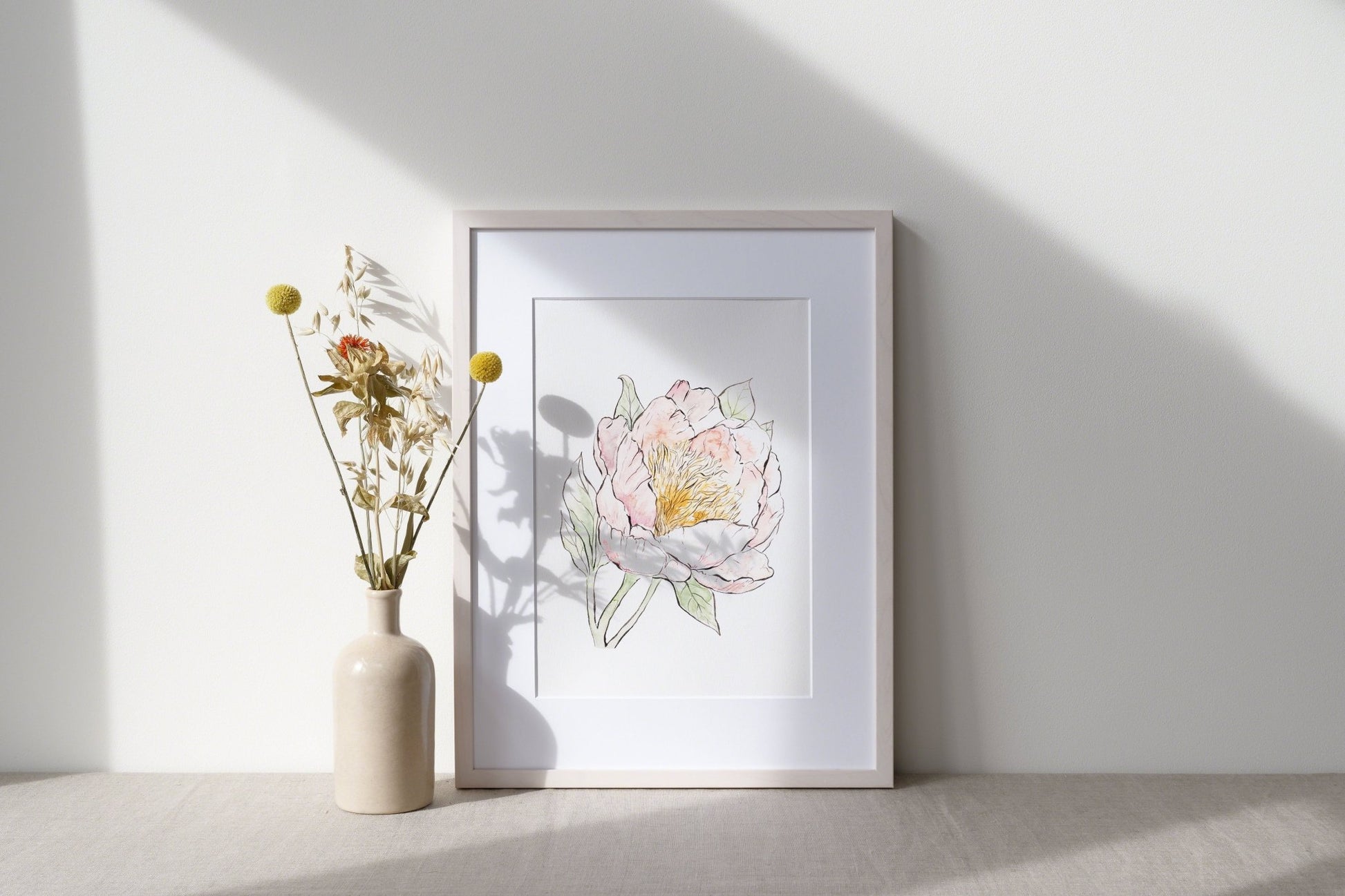 Illustration Pivoine - Alma Plantes