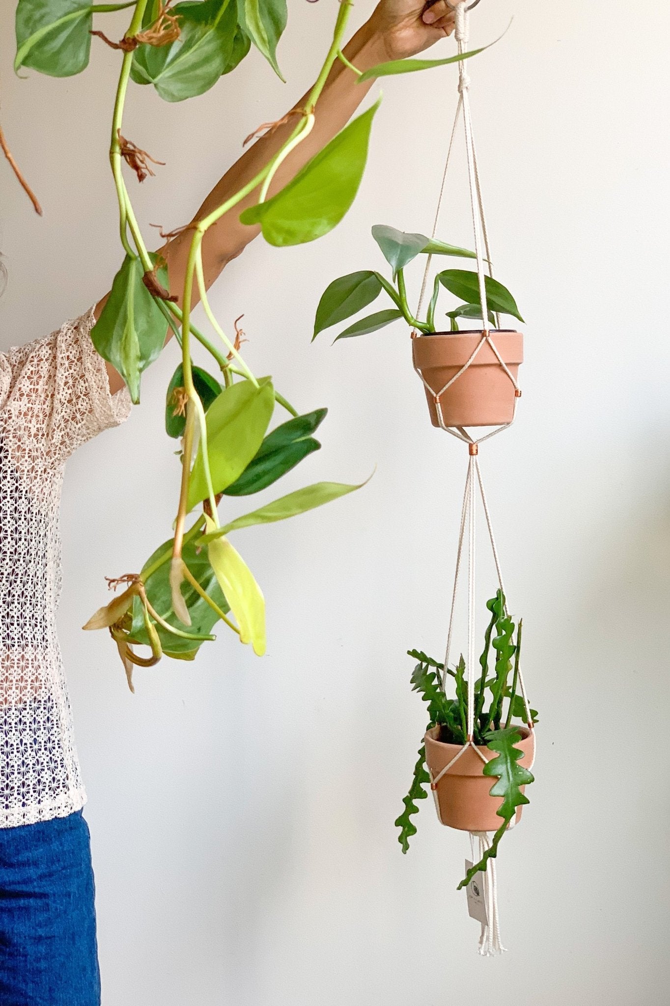 Jardinière double ajustable - Alma Plantes