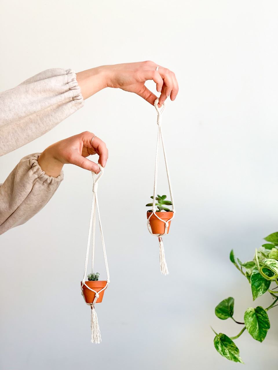 Jardinière mini