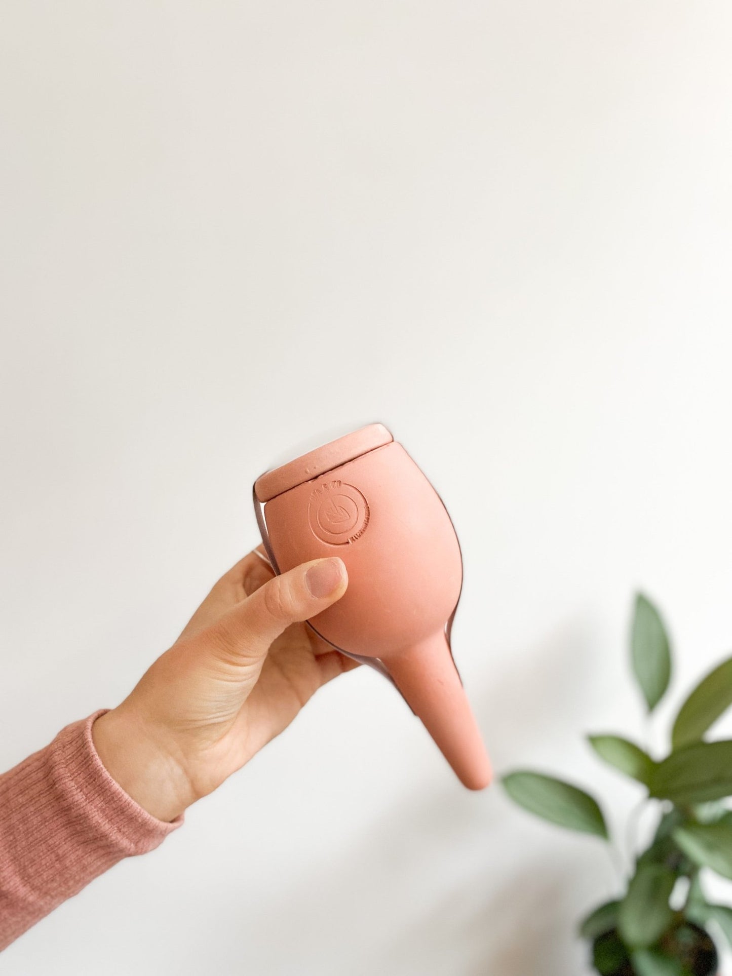 Olla ''Minus'' - Alma Plantes