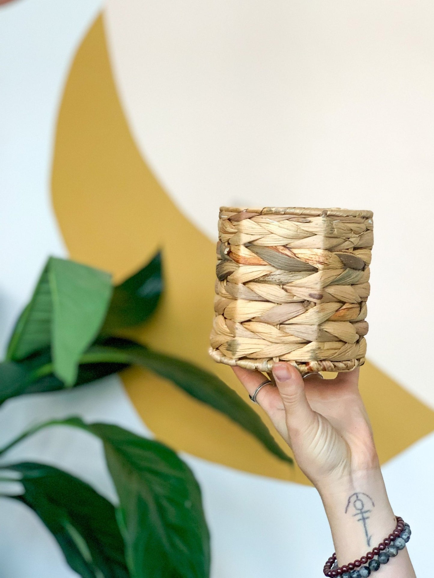 Panier en hyacinthe - Alma Plantes