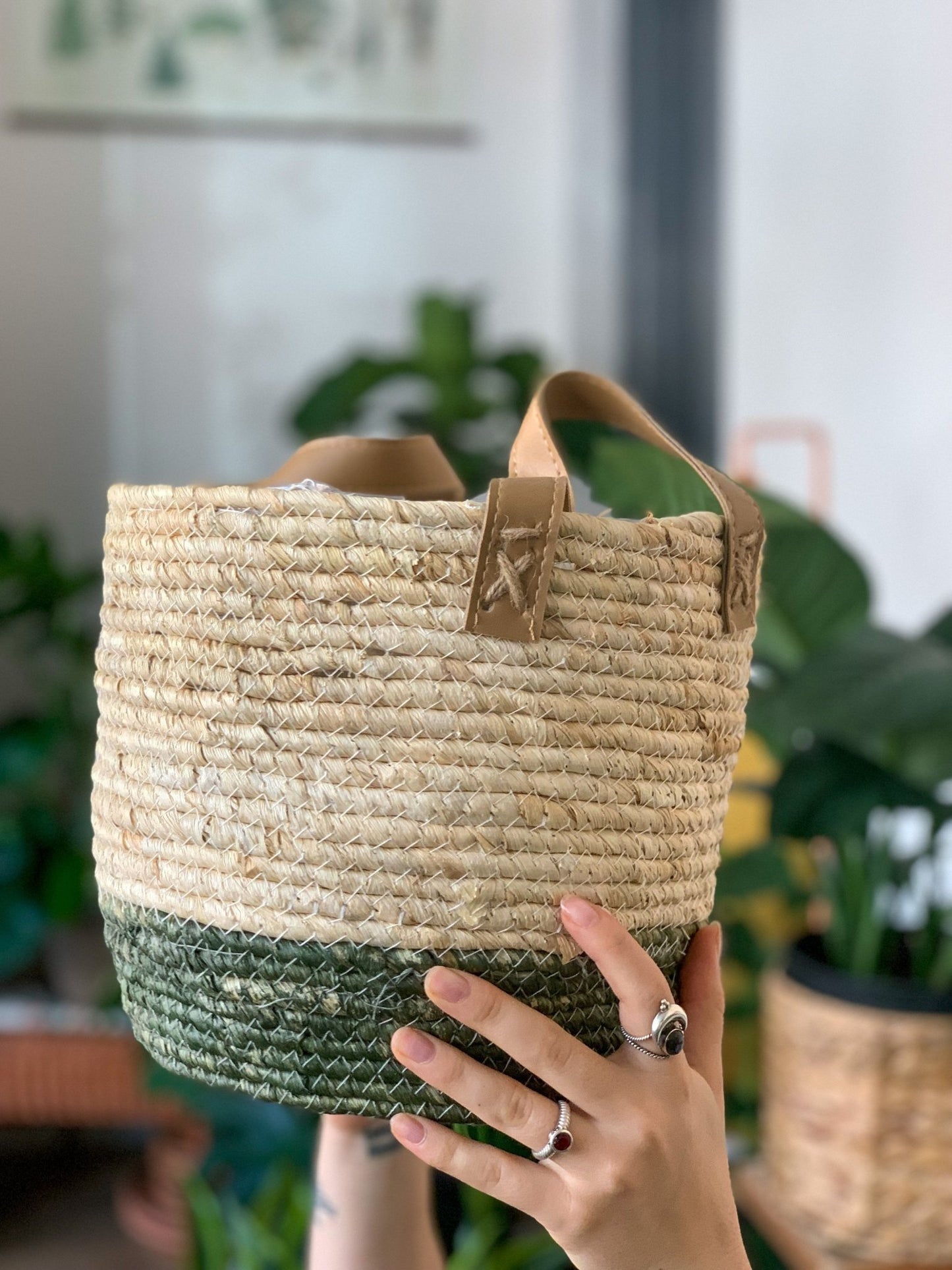 Panier en osier - Vert & Naturel - Alma Plantes