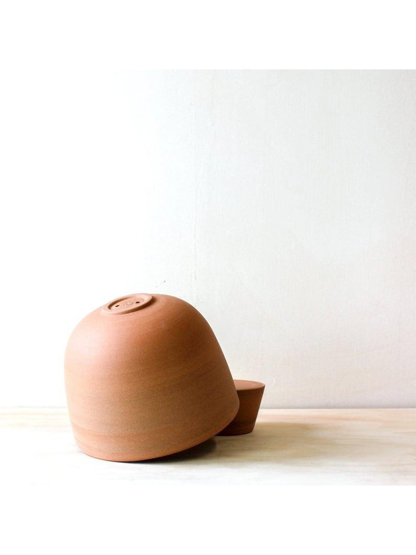 pot Alex - Alma Plantes