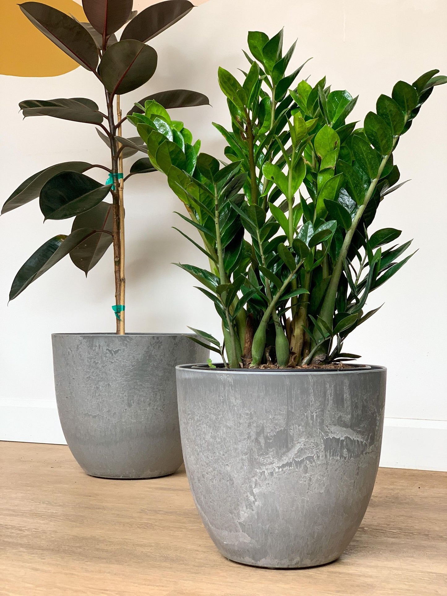 Pot Bola gris - Alma Plantes