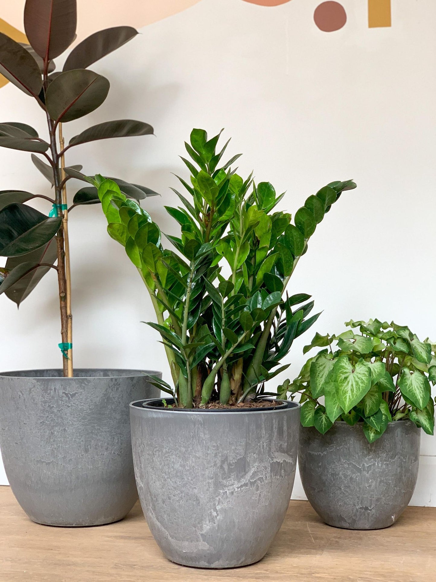 Pot Bola gris - Alma Plantes