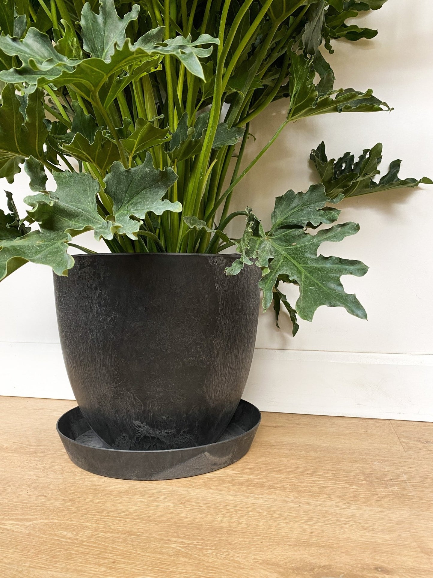 Pot Bola noir - Alma Plantes