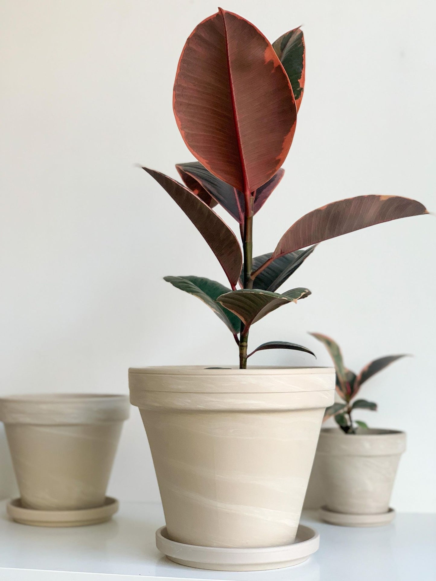 Pot en terre cuite - granite - Alma Plantes