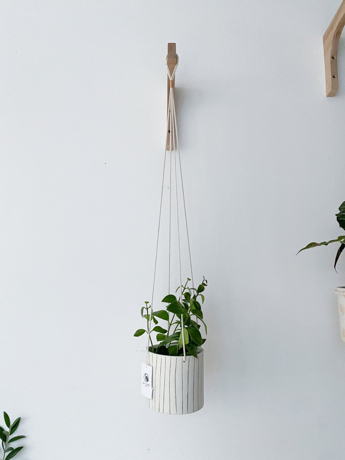 Pot lune suspendu 'rayé' - Alma Plantes