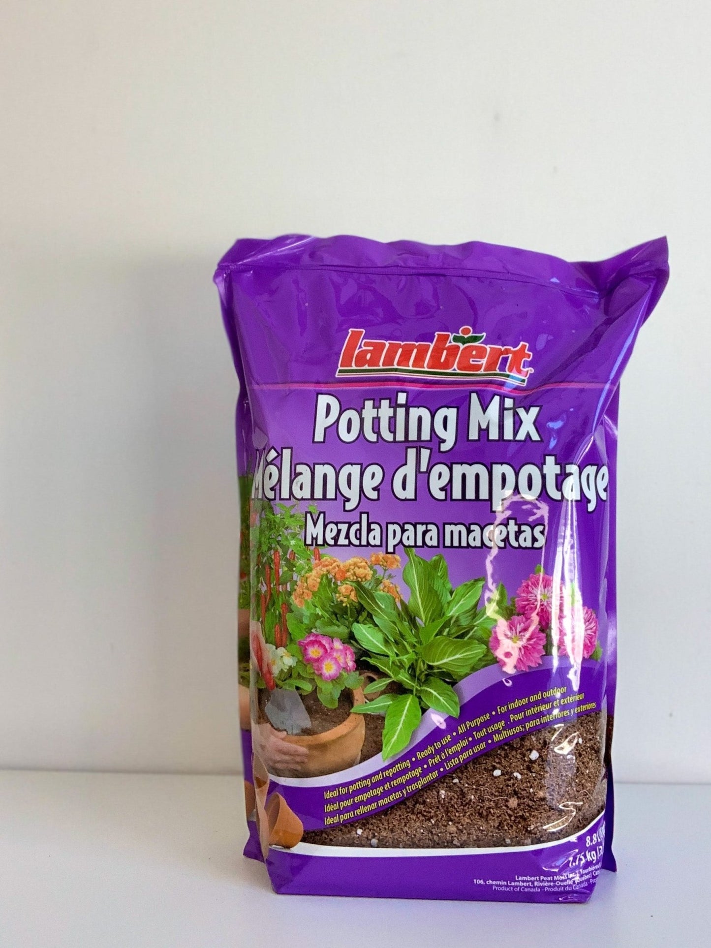 Terreau pour plantes d'intérieur (Lambert) - Alma Plantes