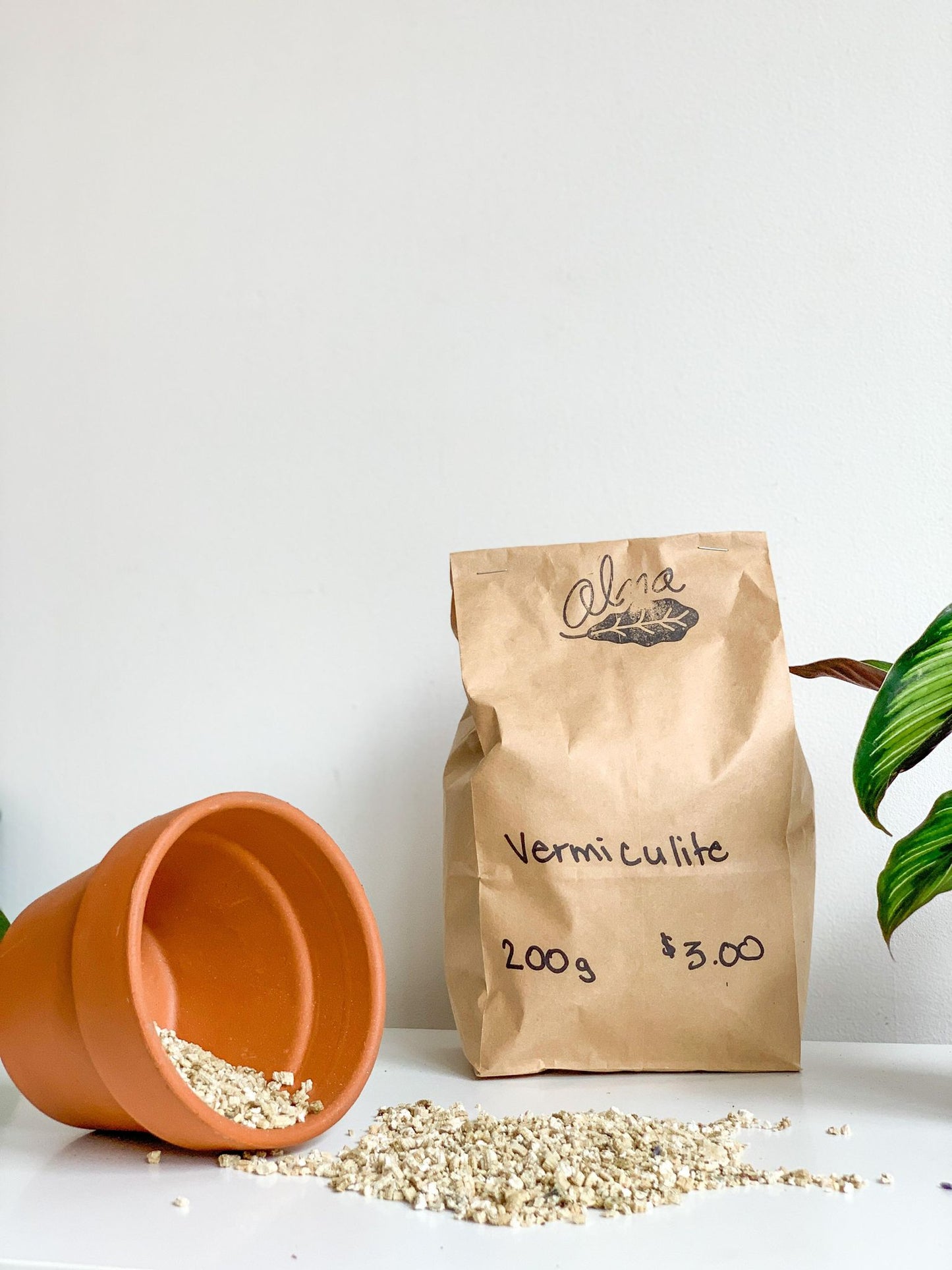 Vermiculite en vrac - Alma Plantes