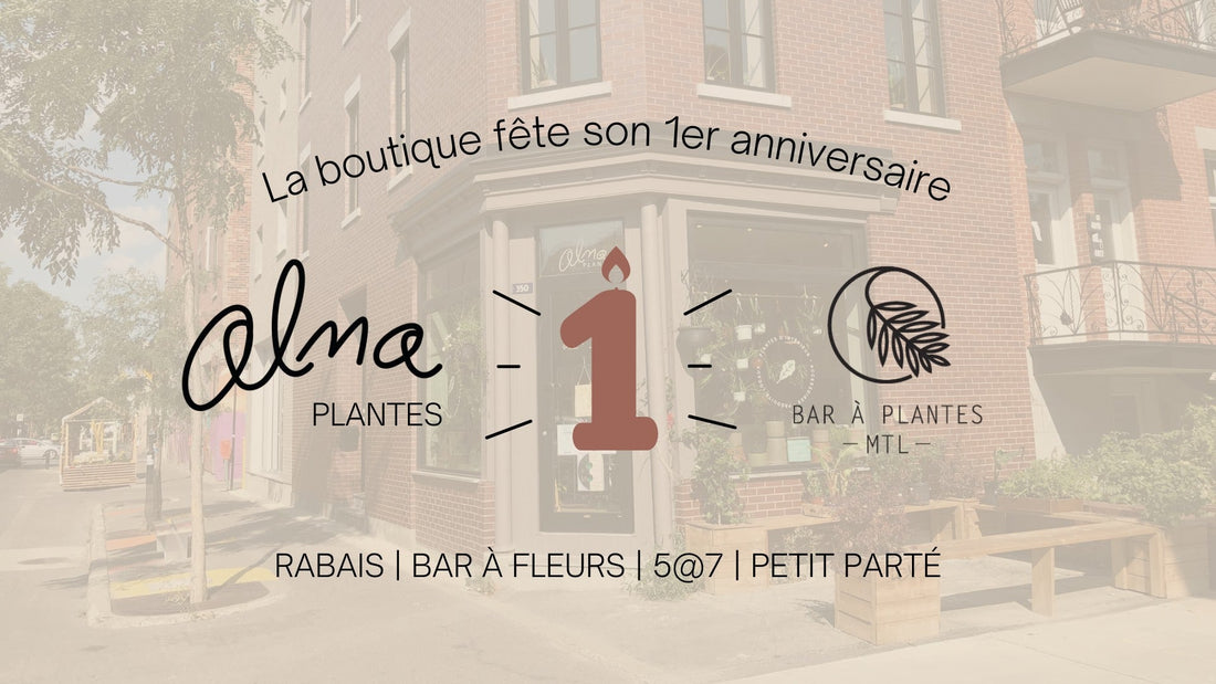 1er anniversaire de la boutique - Alma Plantes