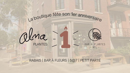 1er anniversaire de la boutique - Alma Plantes