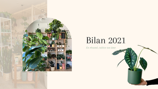 Bilan 2021 alma plantes