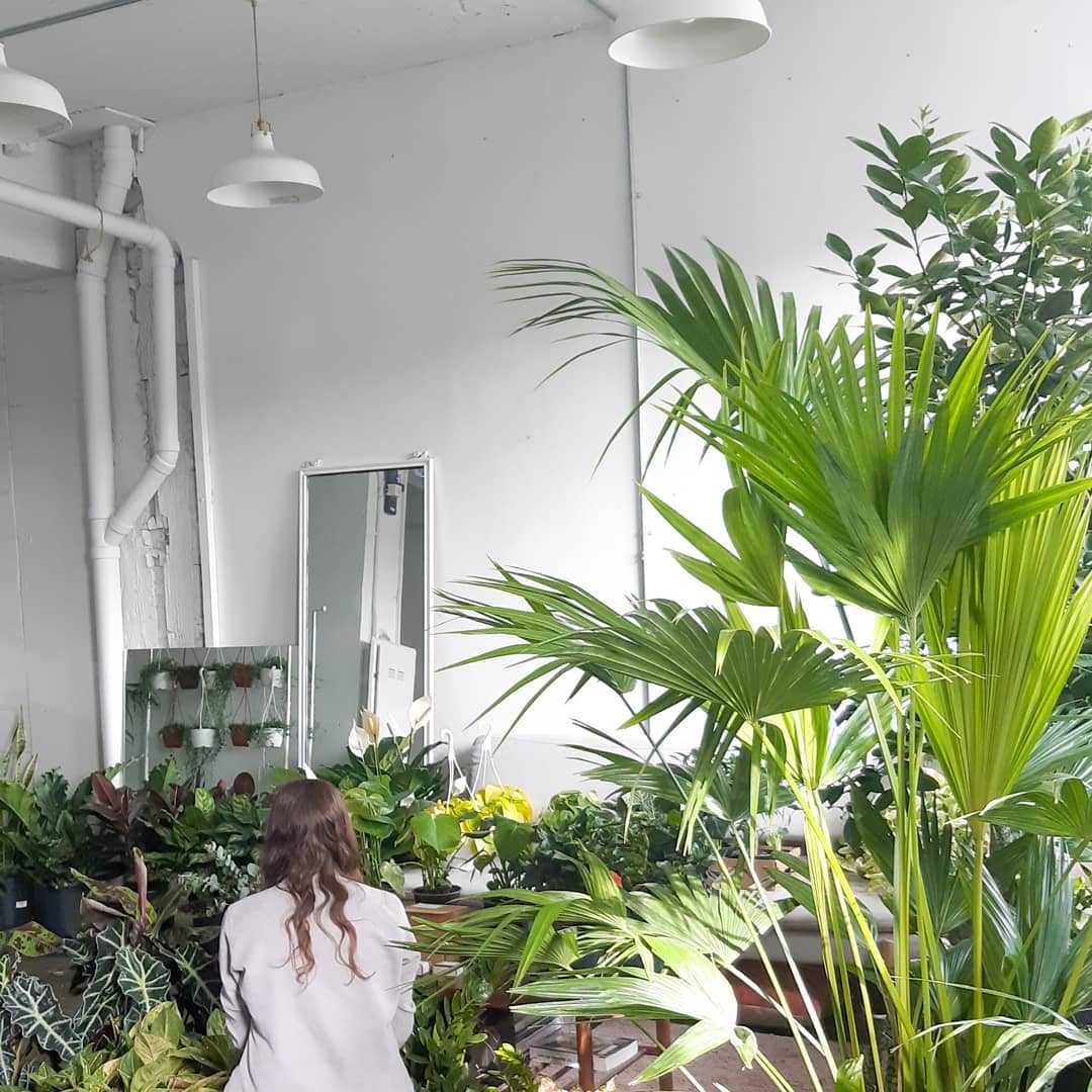 Boutique virtuelle ''Pop-Up'' - Alma Plantes