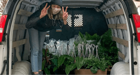 Déménagement : comment s'y prendre avec nos plantes? - Alma Plantes