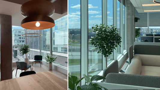 La Biophilie : L'art de vivre en harmonie avec la nature - Alma Plantes