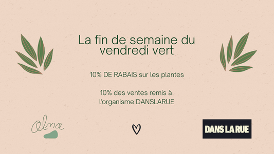 La fin de semaine du vendredi vert au profit de l'organisme DANS LA RUE - Alma Plantes
